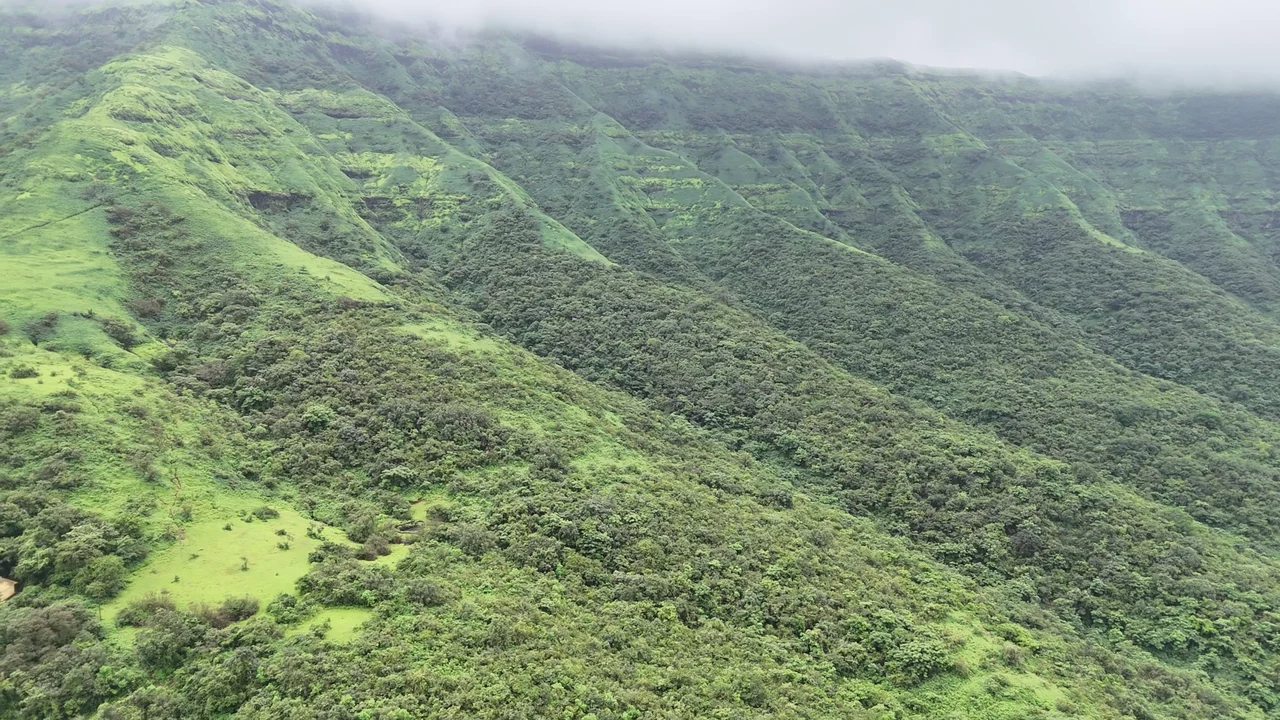 Dense green mountain slopes rising into a soft layer of cloud.