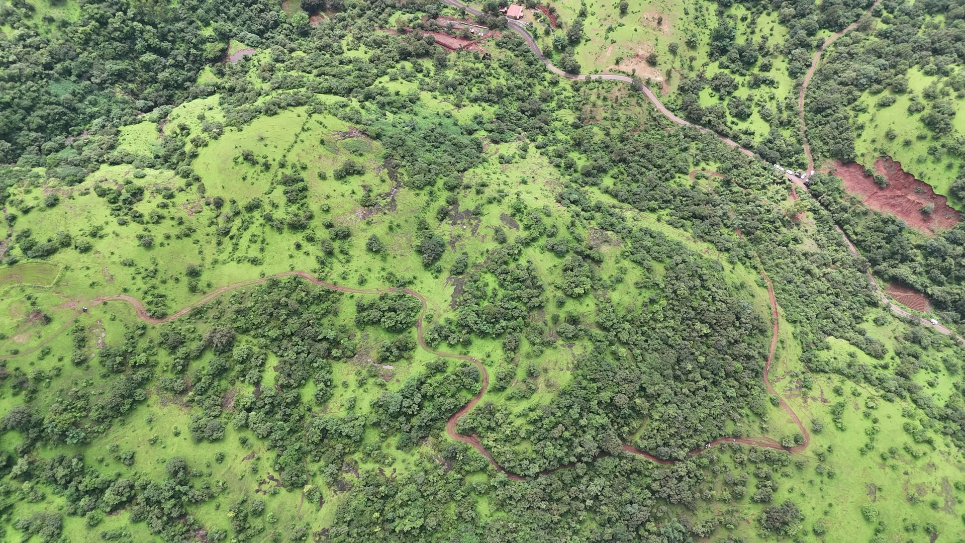 Aerial view of green land, tree cover and winding tracks