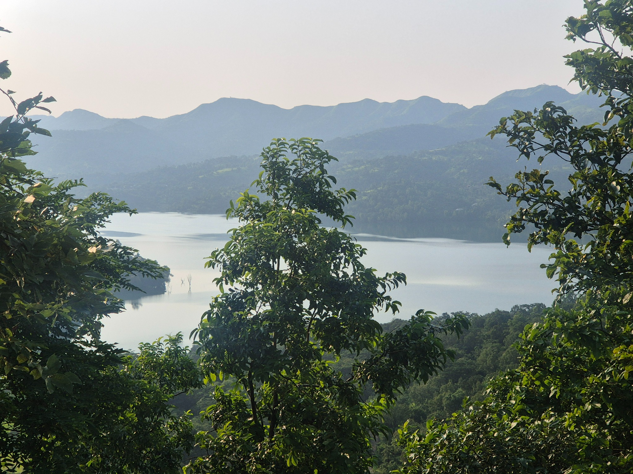 Backwaters framed by natural foreground vegetation and distant hills