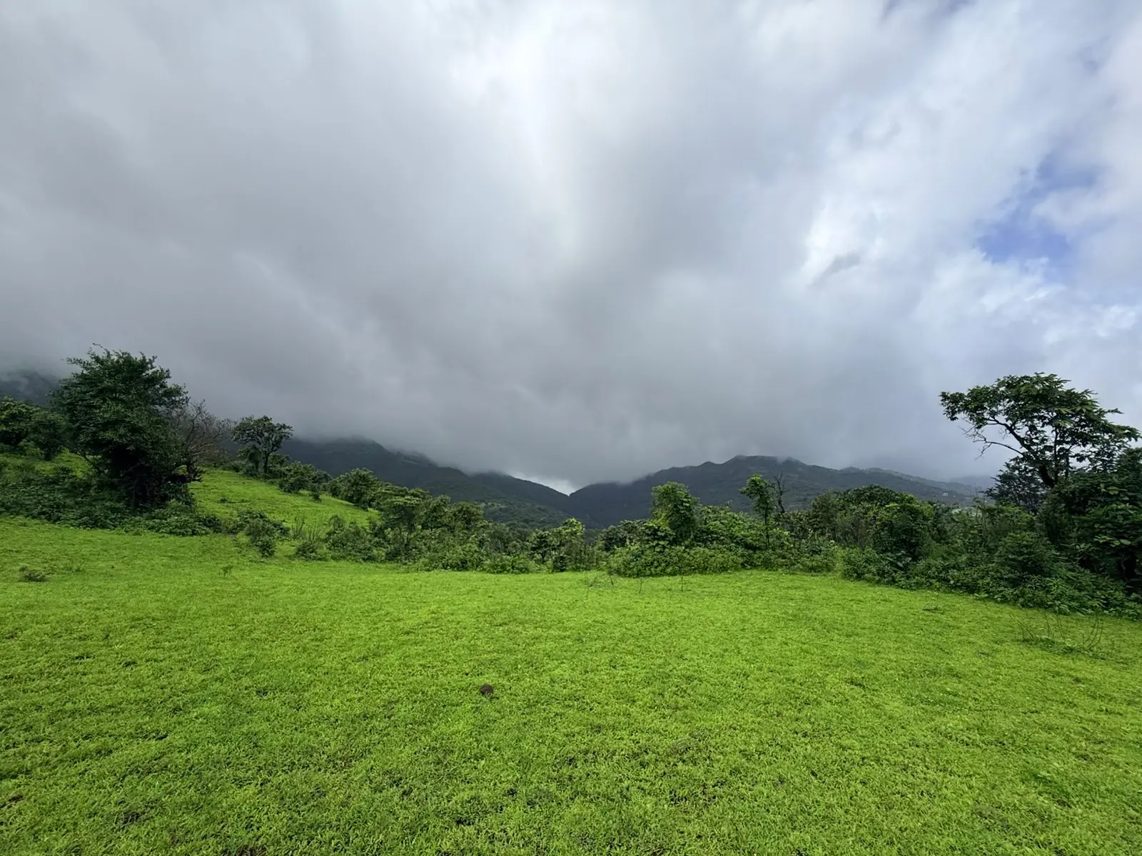 Open green project land beneath hills and monsoon clouds