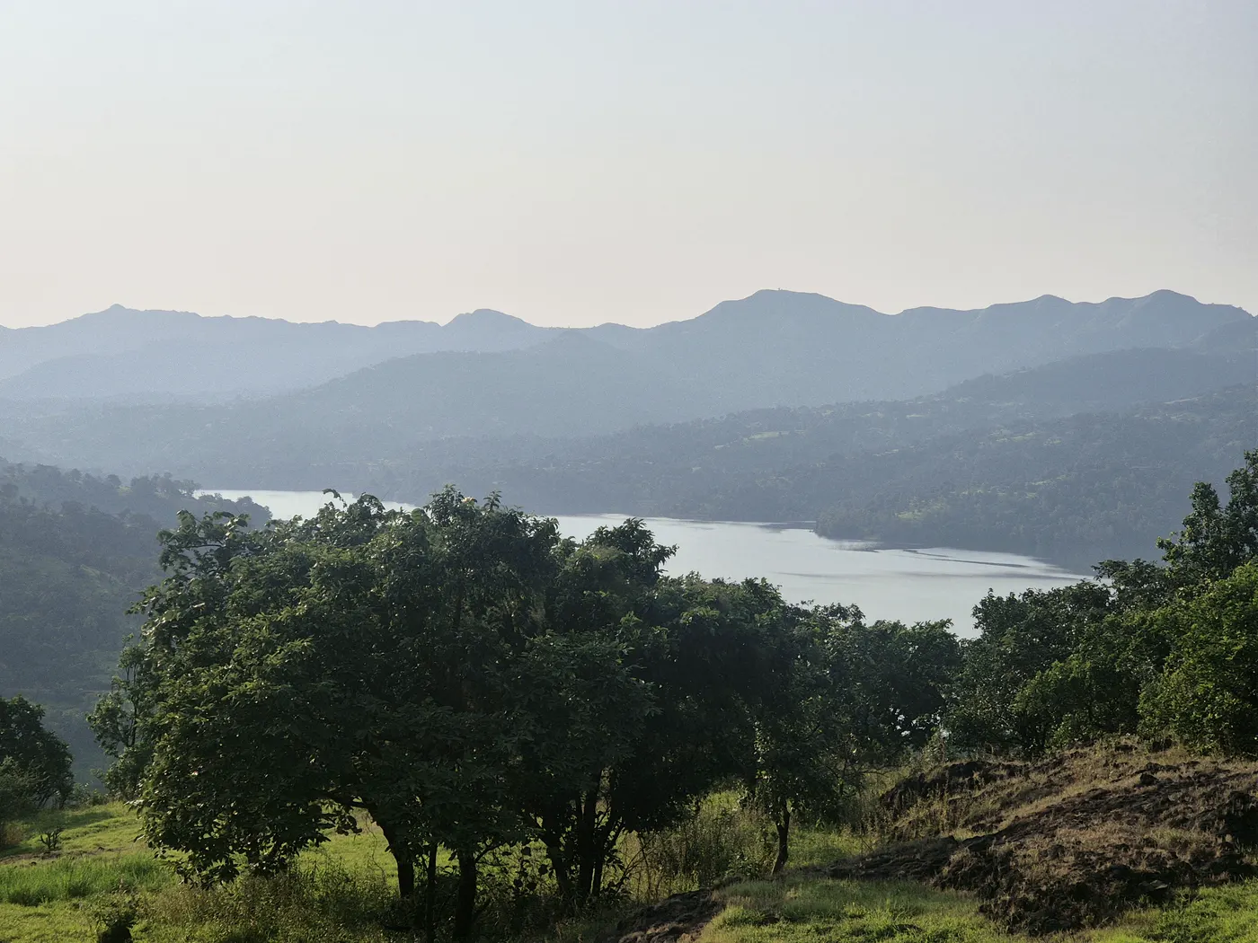 The dam's water glimpsed through trees from a grassy slope