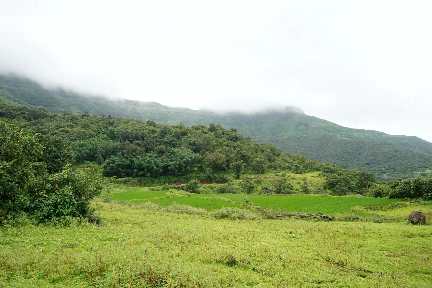 Monsoon cloud resting on green ridges above open fields